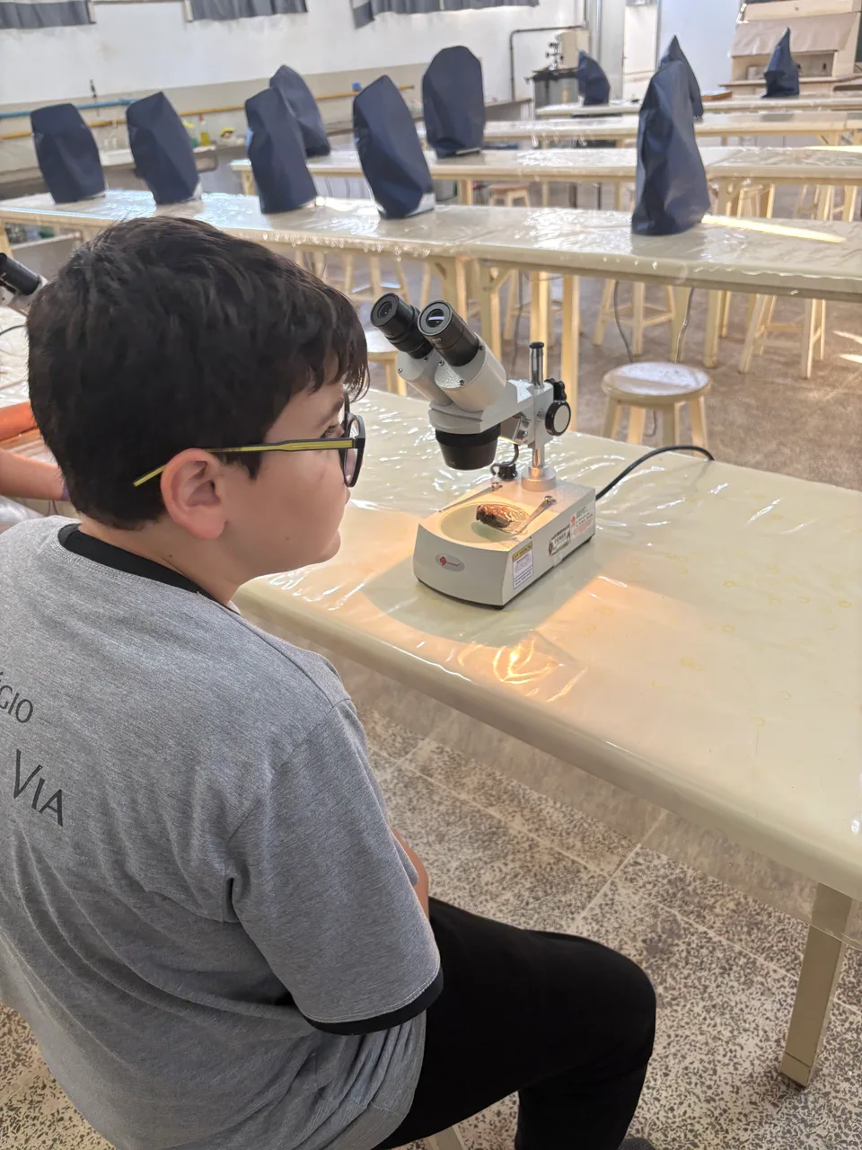 Aluno observando um microscópio